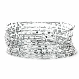 concertina-razor-wire